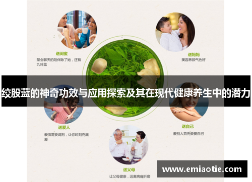 绞股蓝的神奇功效与应用探索及其在现代健康养生中的潜力