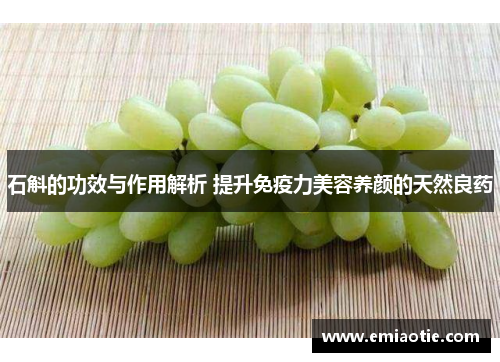 石斛的功效与作用解析 提升免疫力美容养颜的天然良药