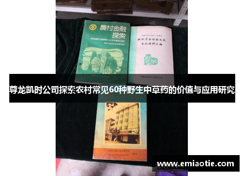 尊龙凯时公司探索农村常见60种野生中草药的价值与应用研究