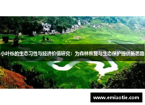 小叶栎的生态习性与经济价值研究：为森林恢复与生态保护提供新思路