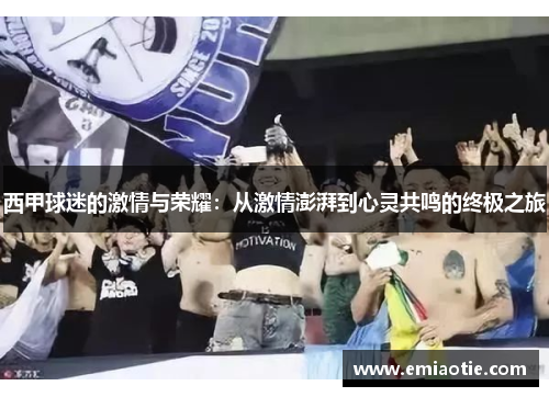 西甲球迷的激情与荣耀：从激情澎湃到心灵共鸣的终极之旅